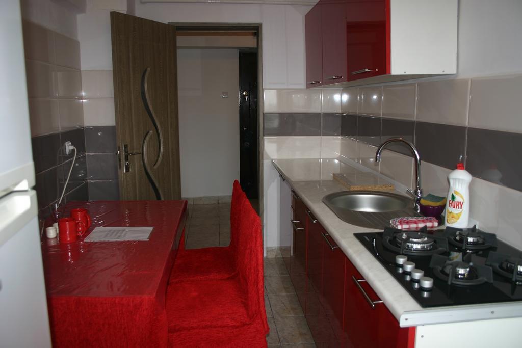 Salonul Rosu Apartment Bacău Exterior foto